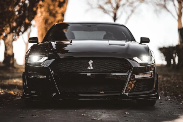 Lapilanders Kasino Apl Android/iOS